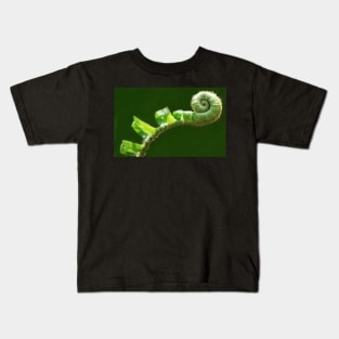 Fiddlehead Kids T-Shirt